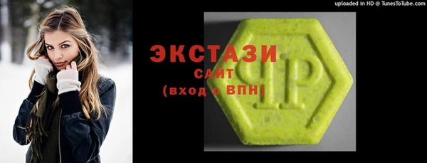 индика Новозыбков