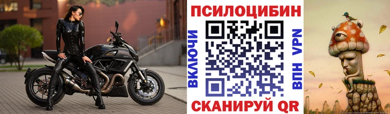 Галлюциногенные грибы прущие грибы  купить наркоту  Братск 